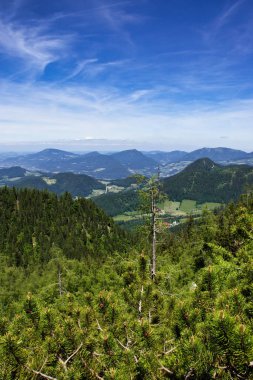 Almanya 'nın Bavyera Alplerinde ağaçlarla tepelere bakıyorum güneşli bir bahar günü Kartal Yuvası' nda.