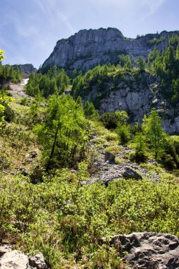 Almanya 'nın Bavyera Alpleri' ndeki Kartal Yuvası yakınlarında bir bahar günü bir dağın kenarında..