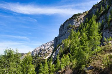 Bavyera Alplerinde bir dağın yamacında Kartal Yuvası yakınlarında bir bahar günü.