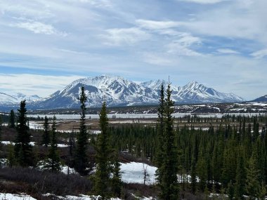 Alaska 'daki Denali Karayolu boyunca baharda eriyen karlar..