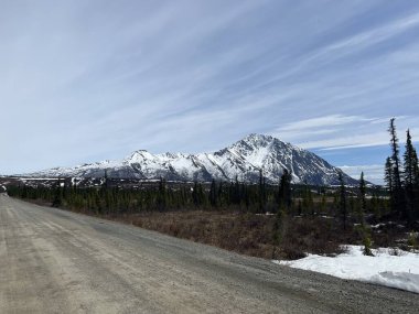 Alaska 'da bir bahar günü Denali otoyolu boyunca toprak bir yolun yanında karlı bir dağ..