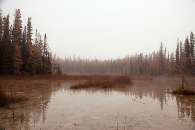 Kanada 'da bir sonbahar günü, Liard River Kaplıcaları' nın yanında ağaçlar ve su..