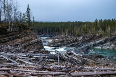 Kanada 'da bir sonbahar günü Alaska Kanada otoyolu boyunca renkli nehirdeki kütükler ve kayalar. 