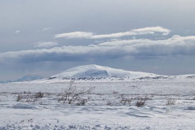 Alaska 'daki Denali Otobanı' nda soğuk bir bahar gününde kar bulutları tepede..