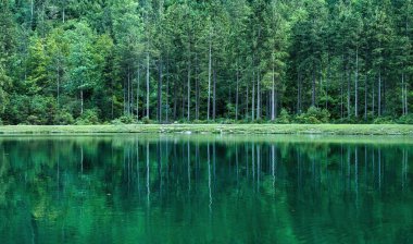 Avusturya 'da bir bahar akşamı Bluntautal Vadisi' ndeki bir gölde yeşil ağaçlar ve yansımaları.