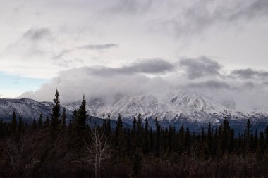 Alaska otoyolunun yanındaki ağaçlar Kanada 'da bulutlu bir sonbahar gününde karlı dağlarla. 