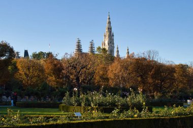 Viyana, Avusturya - 9 Ekim 2021: Volksgarten 'de güneşli bir sonbahar gününde Avusturya' nın Viyana kentinde Rathaus 'un önündeki renkli ağaçlar.