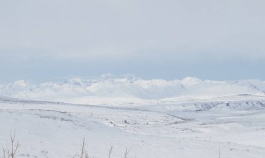 Alaska 'da bir bahar günü Denali Otobanı' nda karla kaplı bir dağ zinciri.. 