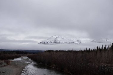 Kanada 'da bir sonbahar gününde Alaska Otoyolu' nun arka planında sisle çevrili bir dağ ve ağaçlar.. 