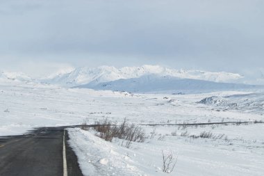 Alaska 'da soğuk, bulutlu bir günde Karlı tarlalar ve dağlarla çevrili Denali Otoyolu. 