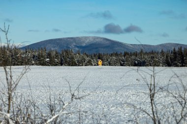 Güneş, ağaçların arasındaki ahşap kulübede, karla kaplı bir tarlada, arka planda bir dağ, bir sonbahar günü Delta Junction, Alaska 'da parlıyor.. 
