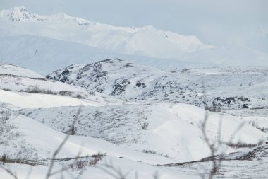 Alaska 'daki Denali Otobanı' nda soğuk bir bahar gününde karlı tepeler ve dağlar.
