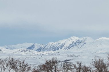 Alaska 'daki Denali Karayolu' nda bir bahar günü, karlı beyaz dağların üzerinde mavi gökyüzü. 