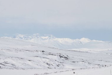Alaska 'daki Denali Otoyolu' nda soğuk bir bahar gününde güzel, karlı, beyaz bir manzara.. 
