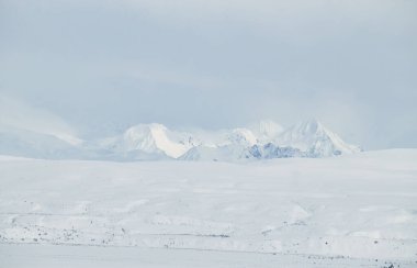Alaska 'daki Denali Otobanı' nda açık beyaz bir bahar gününde karlı dağlar.. 