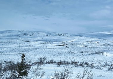 Alaska 'daki Denali Otobanı' nda bahar günü kar üzerinde gölgeler.. 