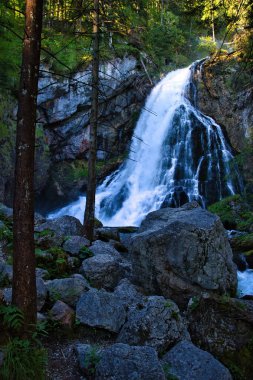 Golling Şelalesi 'nde bir bahar sabahı Avusturya Golling' de kayalar ve ağaçlar.