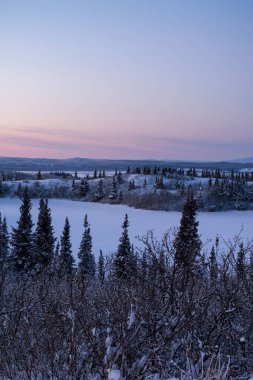 Delta Junction, Alaska yakınlarında bir kış akşamı pembe gökyüzünün altında karlı ağaçlarla çevrili küçük buzlu bir göl..