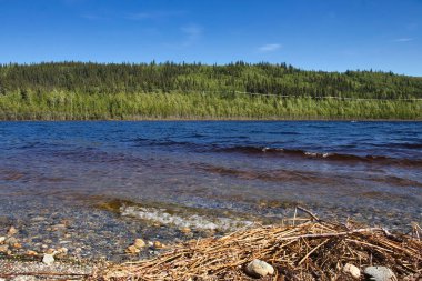 # Bolio Gölü 'nde dalgalar # # Suyun karşısındaki bir tepenin üzerinde ağaçlarla # # Delta Kavşağı yakınlarında güneşli bir bahar günü #. 