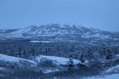 Delta Junction, Alaska yakınlarındaki karanlık bir öğleden sonra ağaçların arkasındaki dağda hafif kar tozu.. 