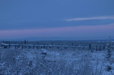 Delta Kavşağı yakınlarındaki soğuk bir sonbahar öğleden sonrasında, karlı ağaçların arasından geçen Trans-Alaska boru hattının üzerinde renkli bir gökyüzü.. 