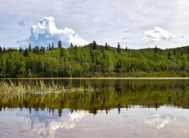 Bulutlu bir bahar gününde, Delta Junction, Alaska yakınlarındaki Twin Lakes 'de yeşil ağaçların yansıması.. 