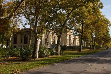 Budapeşte, Macaristan - 26 Ekim 2021: Macaristan 'ın Budapeşte kentinde bir sonbahar gününde Macar Milenyumu önünde bir parkta yürüyüş yolu ve ağaçlar.