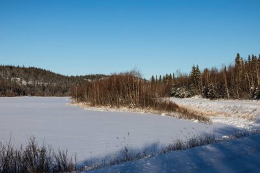 Bolio Gölü 'nün kıyısında, yol kenarında güneşli bir kış günü Delta Junction, Alaska yakınlarında.. 