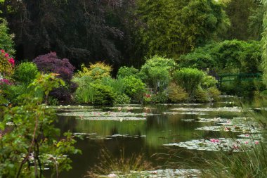 Fransa 'nın Giverny kentindeki Monet' s Garden 'da bir yaz günü su zambaklarıyla çevrili yeşil ağaçlar..