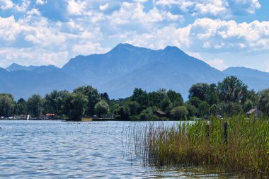 Bavyera, Almanya - 17 Haziran 2021: Güney Almanya 'da güneşli bir bahar gününde arka planda Bavyera Alpleri ile Chiemsee köpek dostu plajı.