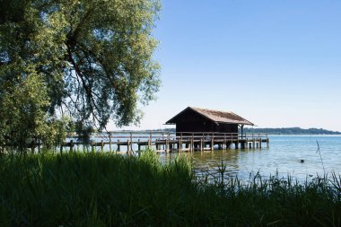 Bavyera, Almanya - 17 Haziran 2021: Güney Almanya 'da güneşli bir bahar gününde Chiemsee' de ahşap binanın yanında yüzen köpek.