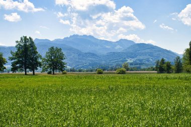 Güney Almanya 'da Chiemsee' de güneşli bir ilkbahar gününde yeşilliklerin arkasındaki Alpler.