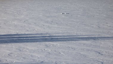 Donmuş Bolio Gölü üzerindeki kar desenleri ve gölgeler Delta Junction, Alaska yakınlarında güneşli bir kış günü. 