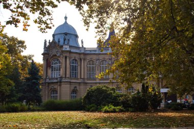 Budapeşte, Macaristan - 26 Ekim 2021: Budapeşte, Macaristan 'da bir sonbahar gününde şehir parkındaki Vajdahunyad Şatosu.