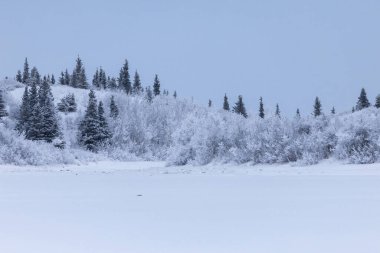 Delta Kavşağı, Alaska yakınlarında beyaz bir kış günü, karla kaplı bir gölün yanındaki ağaçlarla kaplı tepe.. 