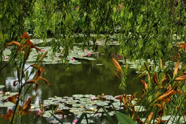 Yaz günü Fransa 'nın Giverny kentindeki Monet' nin bahçesinde nilüfer yapraklarıyla göletin üzerinde sallanan ağaçlar..