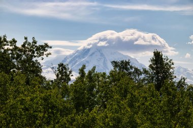 Delta Junction, Alaska yakınlarındaki bir bahar günü, yeşil ağaçların arkasındaki dağın tepesindeki bulutlar.. 