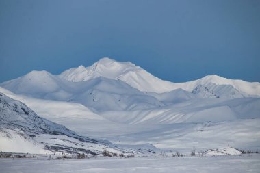 Alaska 'da bir bahar günü Denali Otobanı' nda karlı beyaz dağlar.