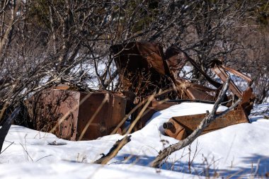 Güneşli bir bahar gününde, Delta Kavşağı, Alaska yakınlarındaki ağaçlara terk edilmiş eski, paslı bir araba.. 