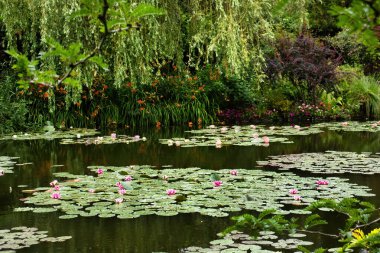Fransa 'nın Giverny şehrinde bir yaz günü Monet' nin bahçesindeki gölde zambaklar..