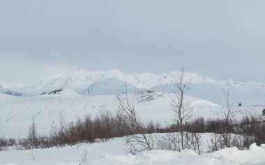 Alaska 'daki Denali Otobanı' nda soğuk bir bahar gününde dağlarda beyaz bulutlar ve beyaz kar..