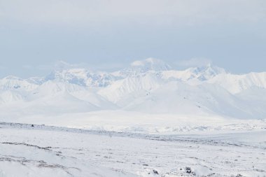 Alaska 'da güneşli bir bahar gününde Denali Otoyolu' nda manzara karla kaplıydı.. 