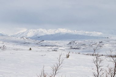 Alaska 'daki Denali Otobanı' nda soğuk bir bahar gününde beyaz bulutlar beyaz dağların üzerinde. 