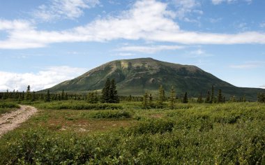 Donnelly Kubbesi Delta Junction, Alaska yakınlarında aydınlık bir bahar günü.