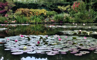 Giverny, Fransa 'da bir yaz gününde nilüferli havuz..