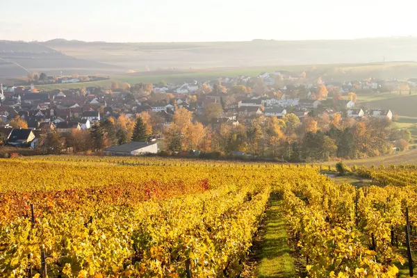 Almanya 'da sisli bir sonbahar gününde üzüm bağının altındaki köy.. 