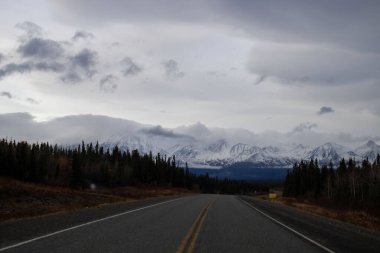 Denali Karayolu 'nda karla kaplı dağlar
