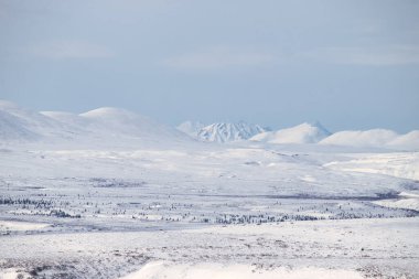 Denali Karayolu 'nda karla kaplı dağlar