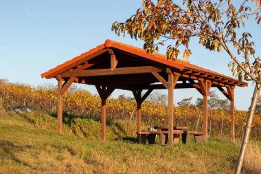 Güneşli bir sonbahar gününde Alman üzüm bağında piknik masası. 