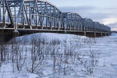 Delta Junction, Alaska - 21 Aralık 2024: Karanlık Alaska kış gününde Gerstle köprüsünün yanında kardaki bitkiler. 